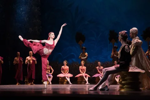 Афиша: Баядерка в Москве 29 мая 2026