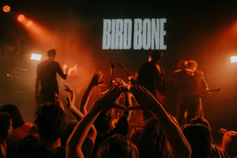 Афиша: Bird Bone в Нижнем Новгороде 16 мая 2026