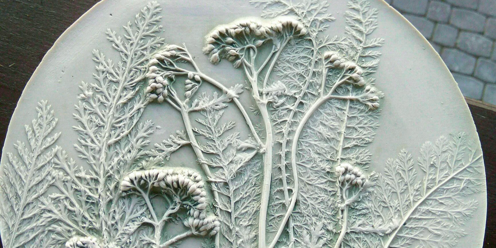 Афиша: Ботанический барельеф в Черноголовке 10 мая 2026