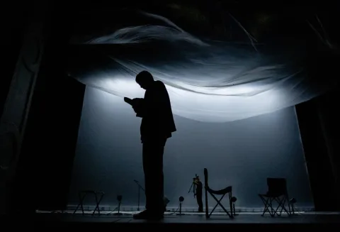 Афиша: Чайка в Калининграде 16 мая 2026