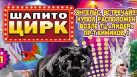 Афиша: Circusland в Саратове 22 мая 2026