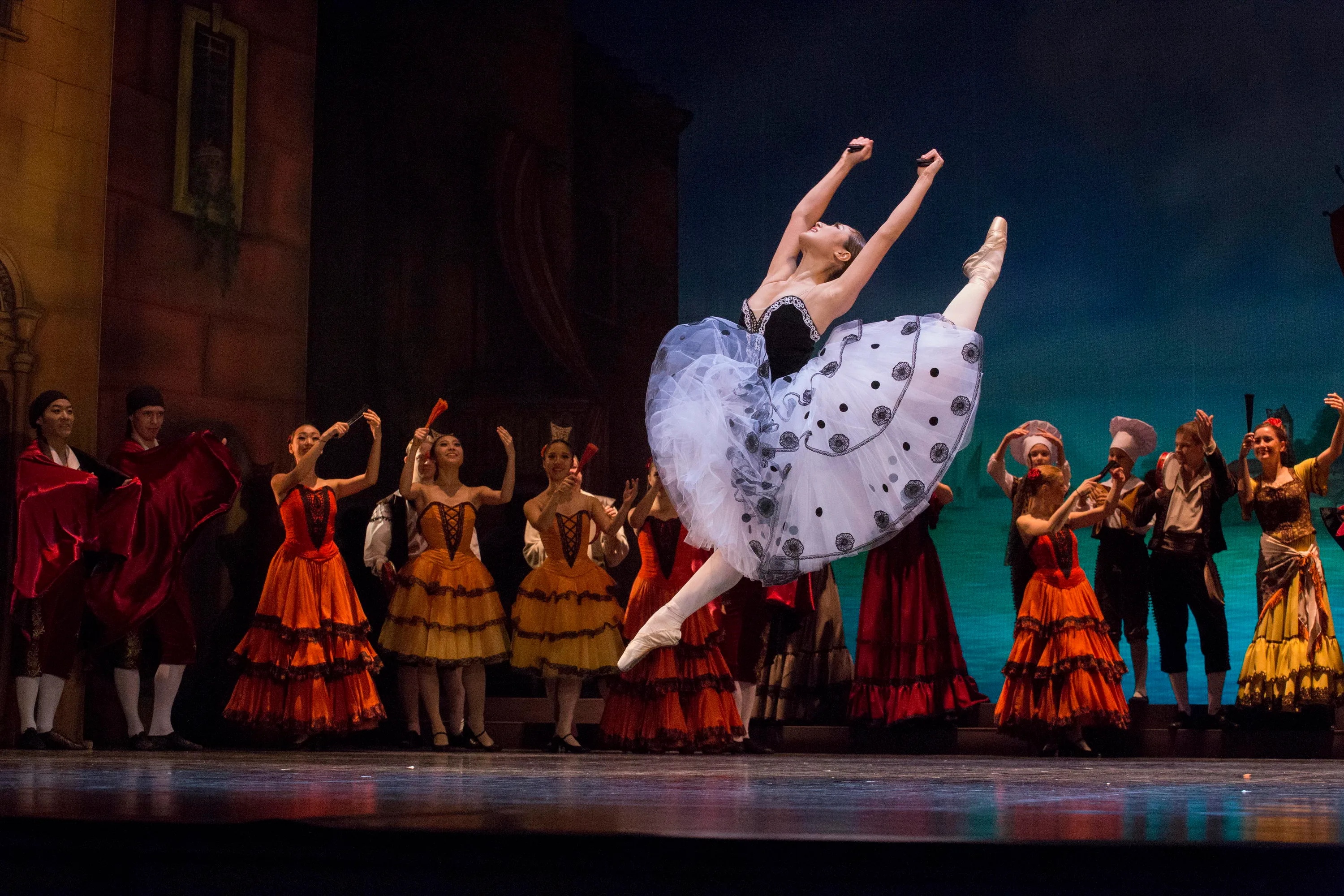 Афиша: Дон Кихот в Петрозаводске 24 мая 2026