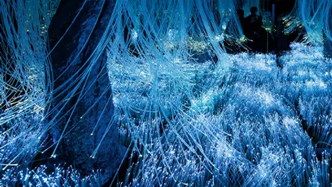 Афиша: Futurione Emotions в Санкт-Петербурге 23 мая 2026