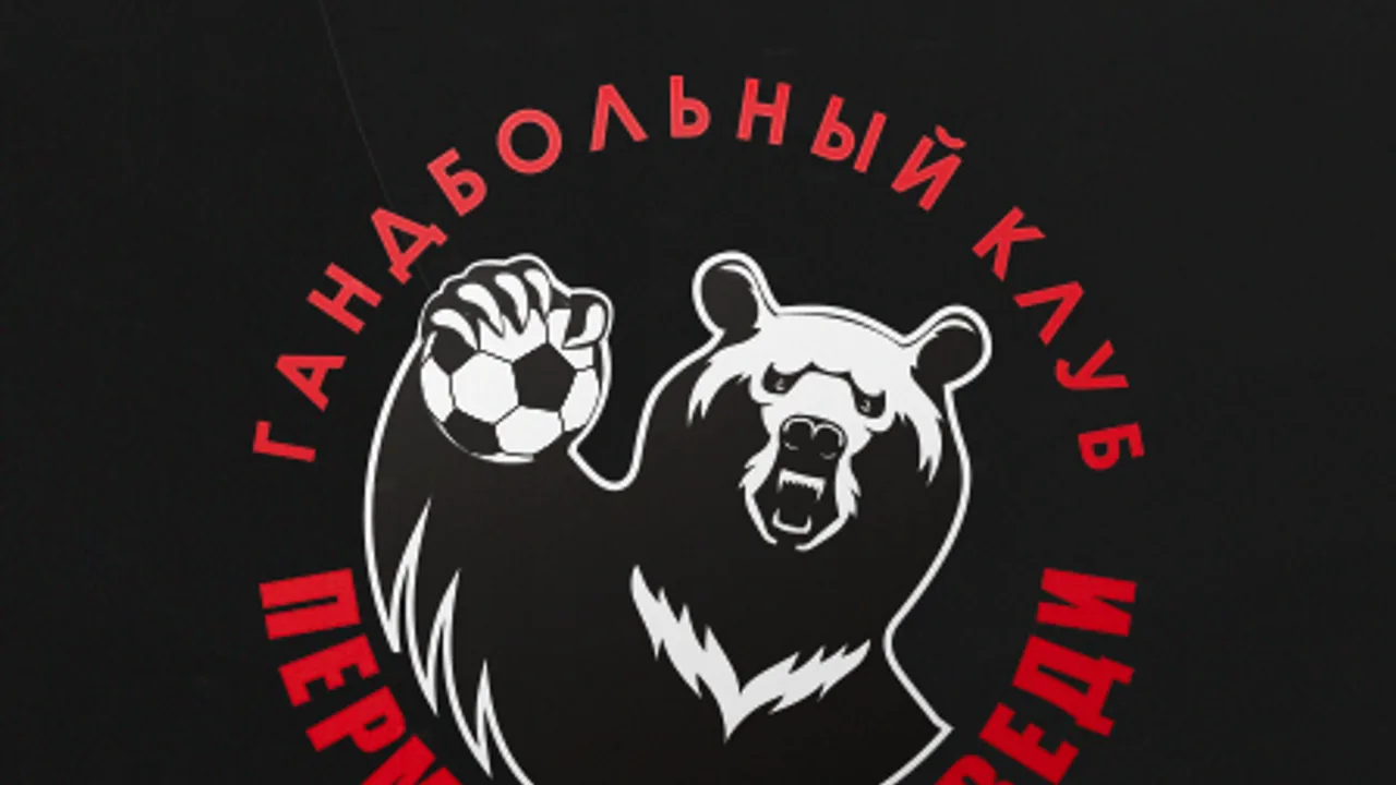 Афиша: Гандбол ФИНАЛ ЗА 3 МЕСТО. Медвежье дерби. Пермские Медведи х Чеховские медведи в Перми 24 мая 2026