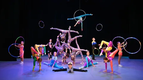 Афиша: Грация. Цирковой коллектив в Перми 27 мая 2026
