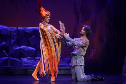 Афиша: Илья Муромец и перо Жар-птицы в Волгограде 24 мая 2026