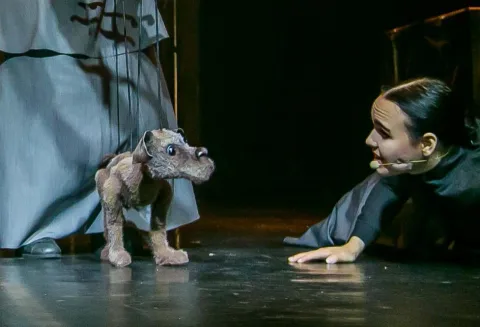 Афиша: Каштанка в Омске 17 мая 2026