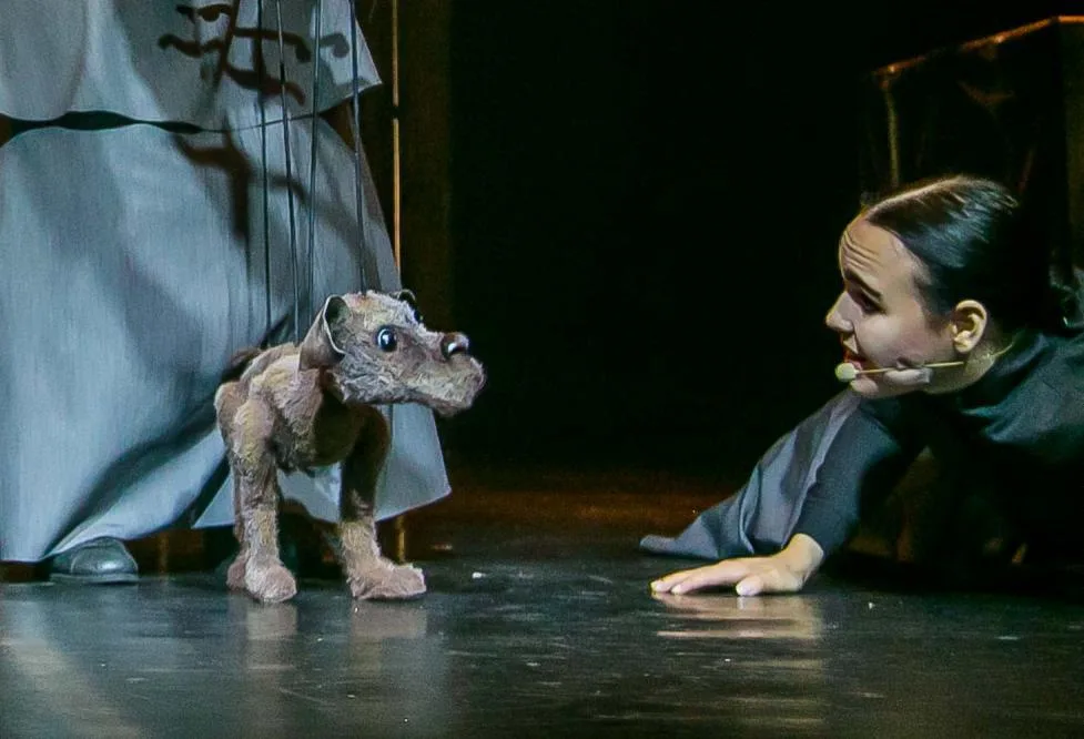 Афиша: Каштанка в Омске 17 мая 2026