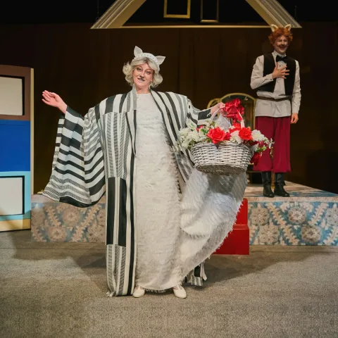 Афиша: Кошкин дом в Новосибирске 13 мая 2026