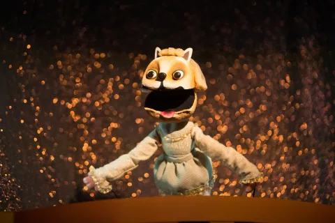 Афиша: Кошкин дом в Санкт-Петербурге 2 мая 2026