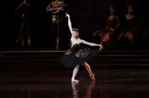 Афиша: Лебединое озеро в Москве 2 мая 2026