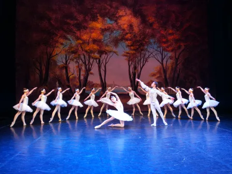 Афиша: Лебединое озеро в Санкт-Петербурге 30 мая 2026