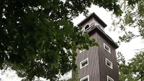 Афиша: Литературный музей в Чистых Прудах в Калининграде 31 мая 2026