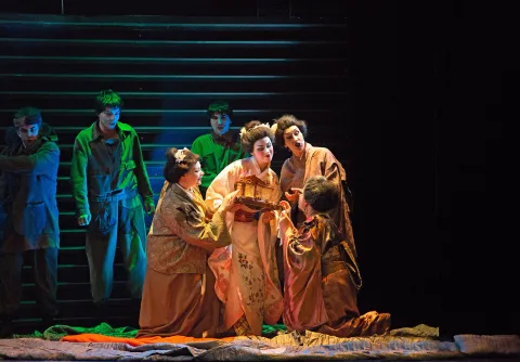 Афиша: Мадам Баттерфляй в Санкт-Петербурге 17 мая 2026