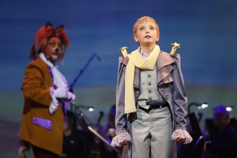 Афиша: Маленький принц в Волгограде 23 мая 2026