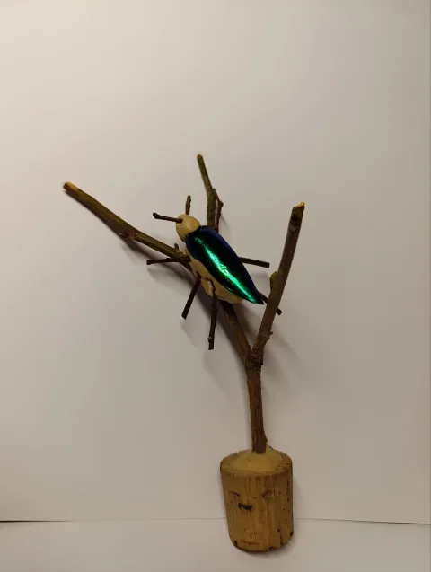 Афиша: Майский жук. Насекомната в Санкт-Петербурге 9 мая 2026