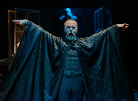 Афиша: Мефистофель в Перми 26 мая 2026