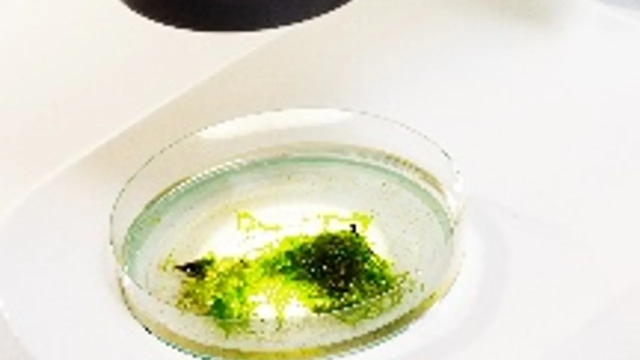 Афиша: Микромир в Москве 29 мая 2026