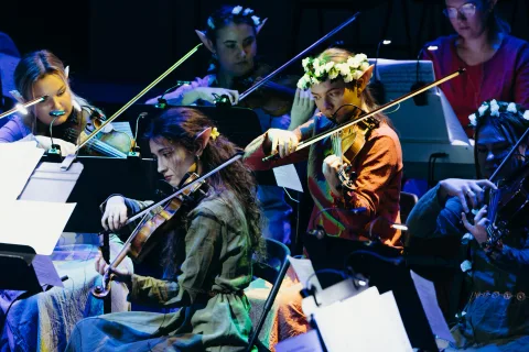 Афиша: Nella Musica Orchestra. СимфоМультимедия. Властелин колец в Санкт-Петербурге 15 мая 2026