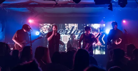 Афиша: Nirvana & Deftones Tribute в Санкт-Петербурге 30 мая 2026