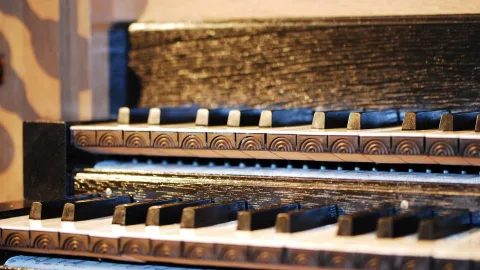 Афиша: Орган при свечах. Мировые шедевры и мелодия белой ночи в Санкт-Петербурге 31 мая 2026