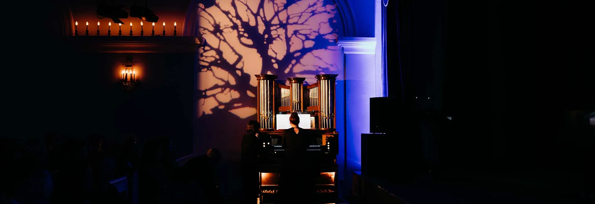 Афиша: Орган рояль шоу. Клавишный кроссовер: от барокко до Стинга в Москве 26 мая 2026