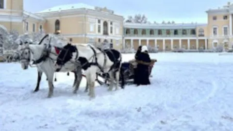 Афиша: Павловск в Санкт-Петербурге 21 мая 2026