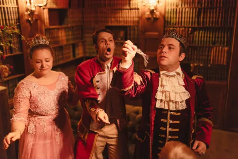 Афиша: Принцесса на горошине в Санкт-Петербурге 17 мая 2026