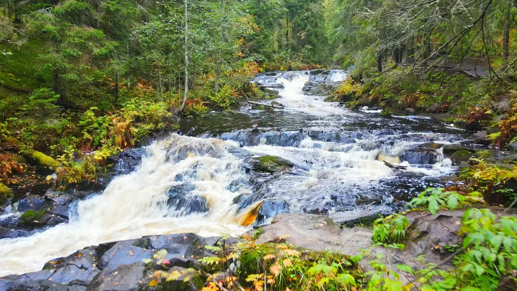 Афиша: Природные сокровища Карелии: четыре водопада и однодневное плавание на ладье среди ладожских шхер в Санкт-Петербурге 1 мая 2026