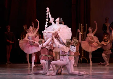 Афиша: Раймонда в Санкт-Петербурге 2 мая 2026