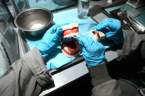 Афиша: Разрушители мифов в Новосибирске 23 мая 2026