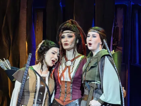 Афиша: Робин Гуд в Волгограде 30 мая 2026