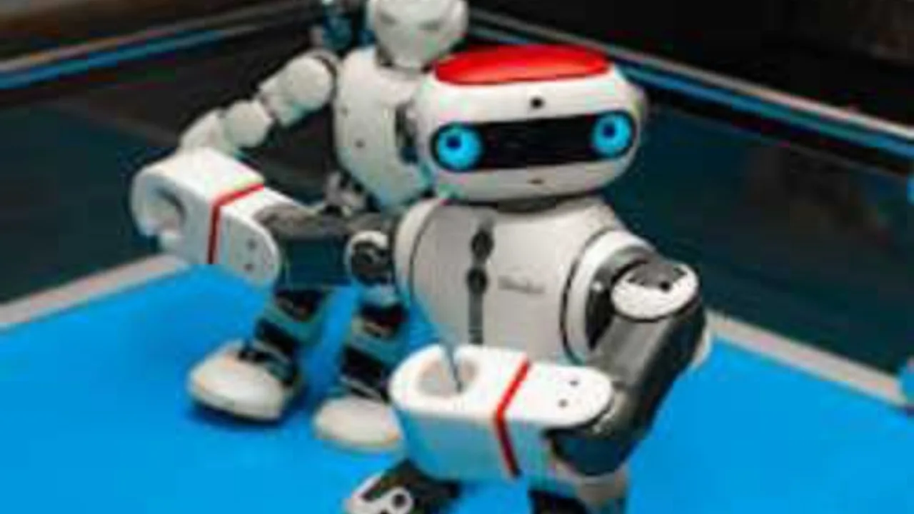 Афиша: Роботы в Сочи 20 мая 2026