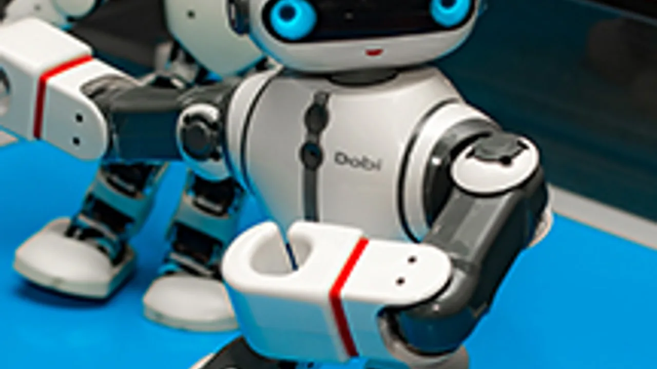 Афиша: Роботы в Сочи 31 мая 2026