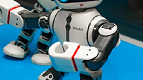 Афиша: Роботы в Сочи 31 мая 2026