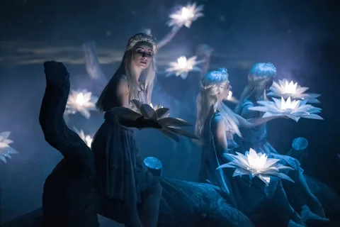 Афиша: Русалка в Екатеринбурге 14 мая 2026