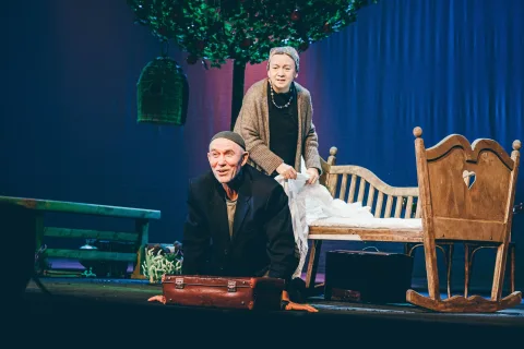 Афиша: Сөясеңме, сөймисеңме? / Любишь, не любишь? в Набережных Челнах 22 мая 2026