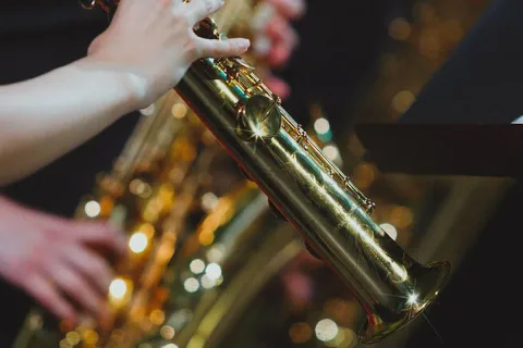 Афиша: Саксофон-шоу. Маленькая ночная серенада. Лунная соната. Лунный свет в Москве 29 мая 2026