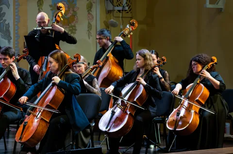 Афиша: Симфонический оркестр и Пётр Акулов в Челябинске 27 мая 2026