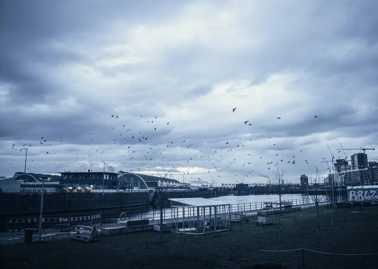 Афиша: Симпл Мьюзик/Simple Music. Циммер, Арнальдс, Рихтер в Санкт-Петербурге 6 мая 2026