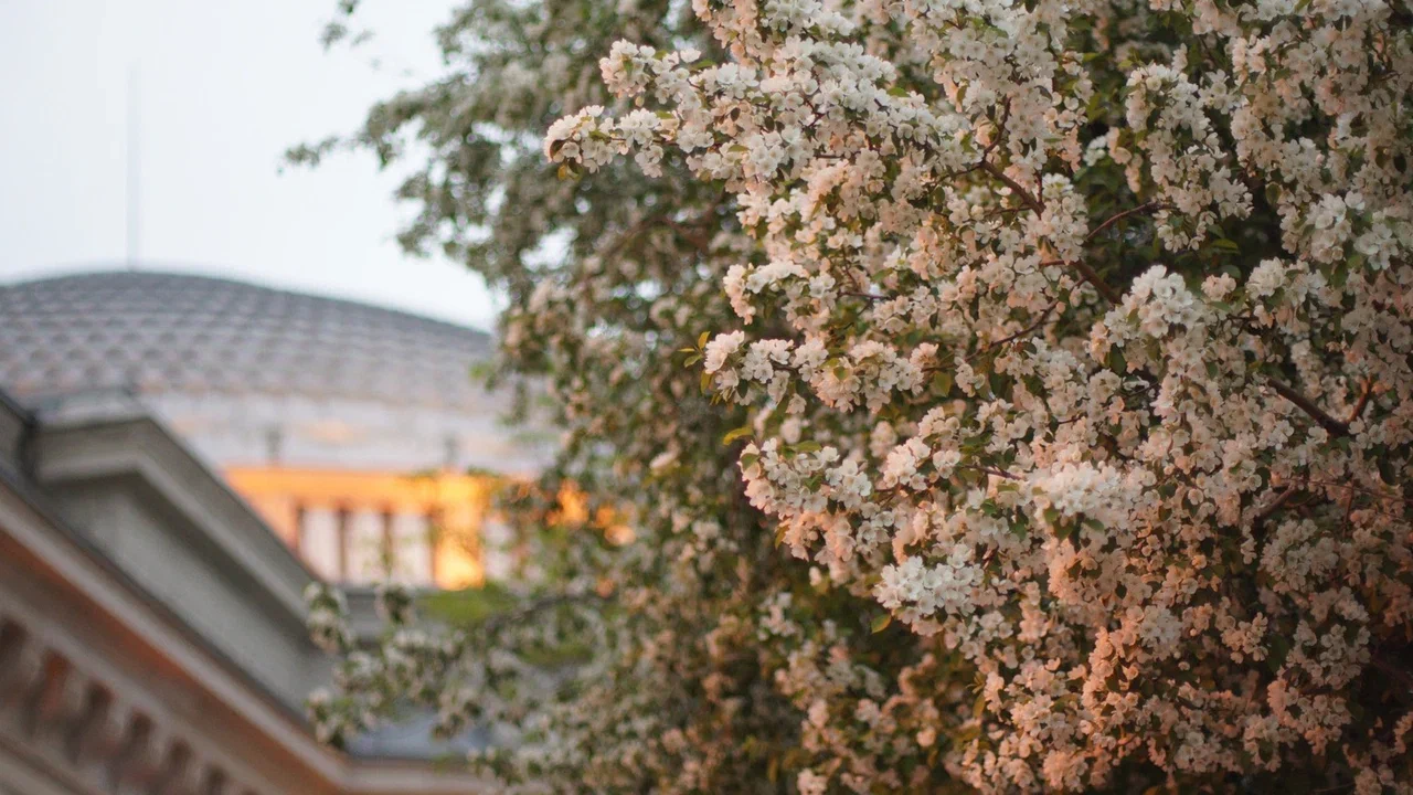 Афиша: Славный май в Новосибирске 2 мая 2026