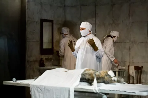 Афиша: Собачье сердце в Новосибирске 26 мая 2026