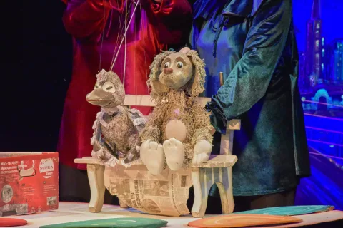 Афиша: Собачья радость в Тамбове 10 мая 2026