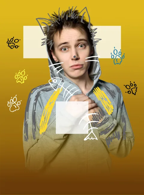 Афиша: Созвездие Бродячих Котов в Челябинске 10 мая 2026