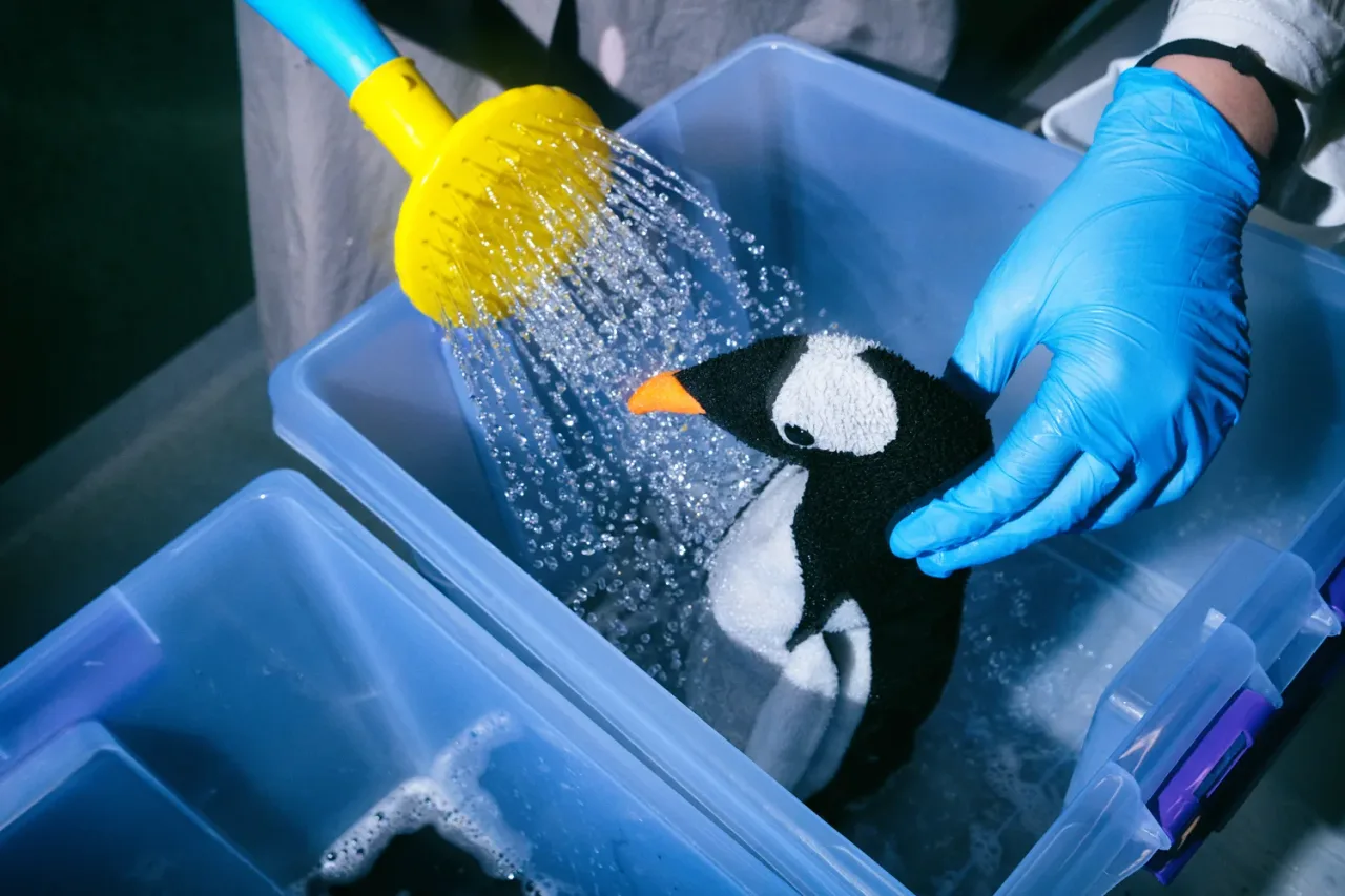 Афиша: Спасти планету в Тюмени 24 мая 2026