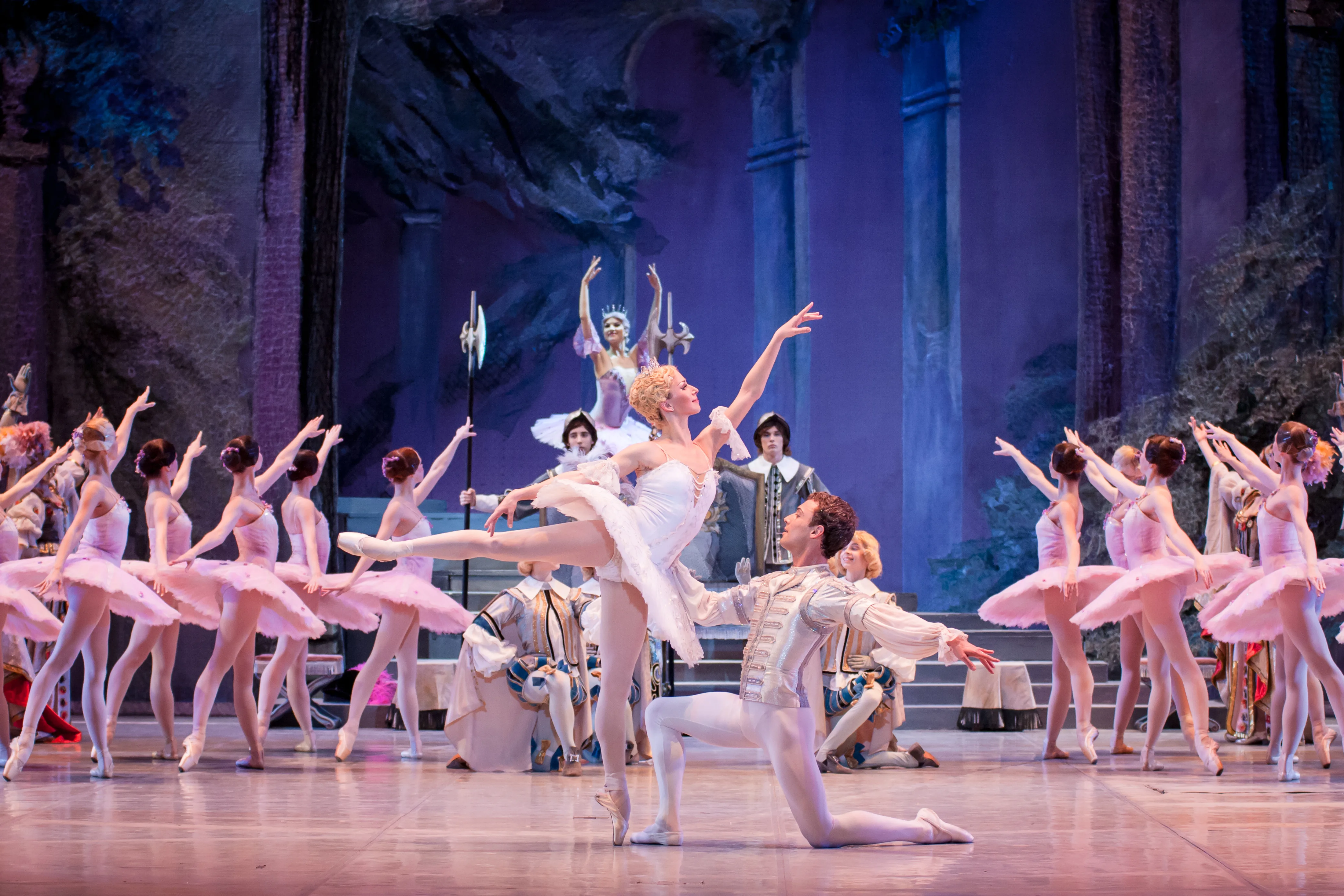 Афиша: Спящая красавица в Краснодаре 22 мая 2026