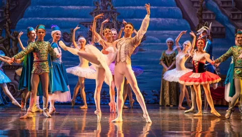 Афиша: Спящая красавица в Москве 14 мая 2026