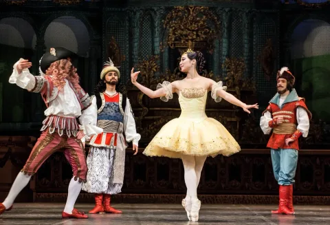 Афиша: Спящая красавица в Петрозаводске 3 мая 2026