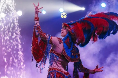 Афиша: Цирк на воде. Шевченко-шоу в Череповце 1 мая 2026