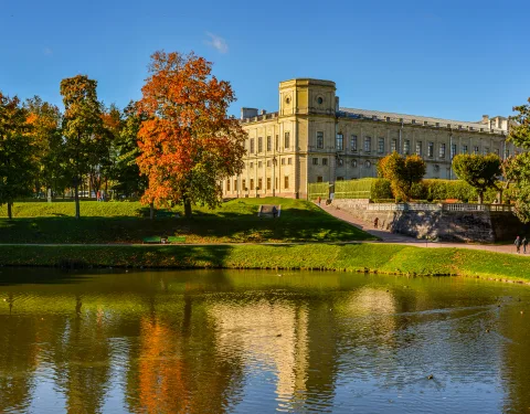 Афиша: Цветущее Прикамье: секреты профессионального сада с мастер-классом по выращиванию и уходу за гортензией в Перми 17 мая 2026